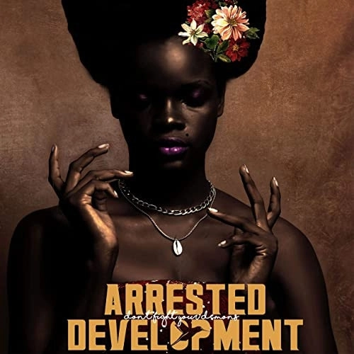 ARRESTED DEVELOPMENT / アレステッド・ディベロップメント / DON'T FIGHT YOUR DEMONS "2LP"(COLOR VINYL)