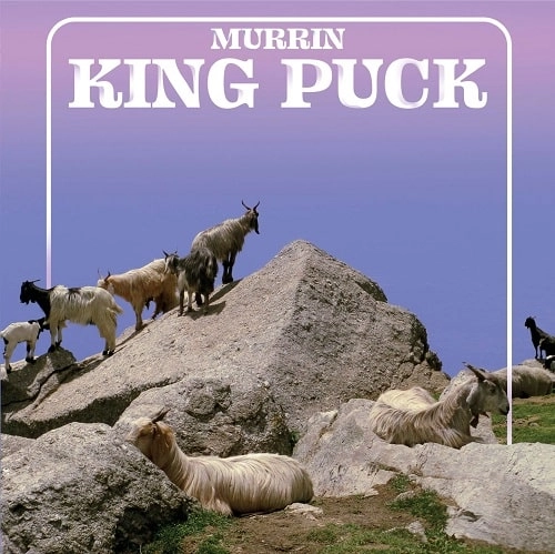MURRIN / KING PUCK