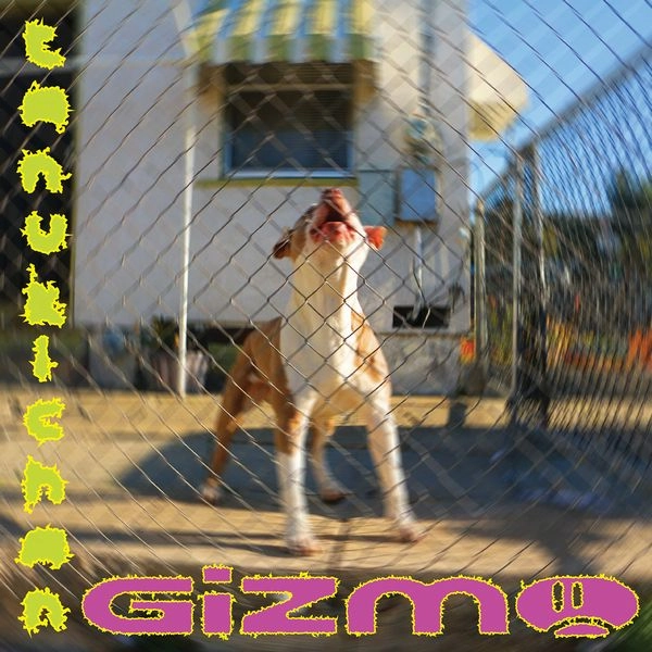 TANUKICHAN / タヌキチャン / GIZMO