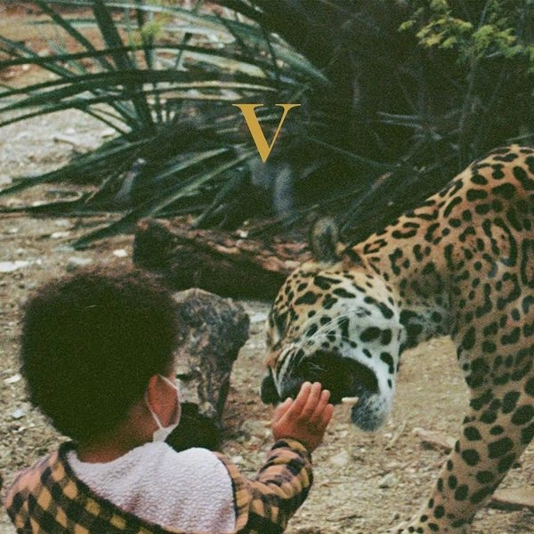UNKNOWN MORTAL ORCHESTRA / アンノウン・モータル・オーケストラ / V (COLOR VINYL
