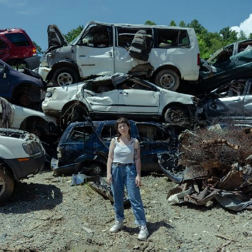 WEDNESDAY (INDIE) / ウェンズデイ / TWIN PLAGUES (LP)