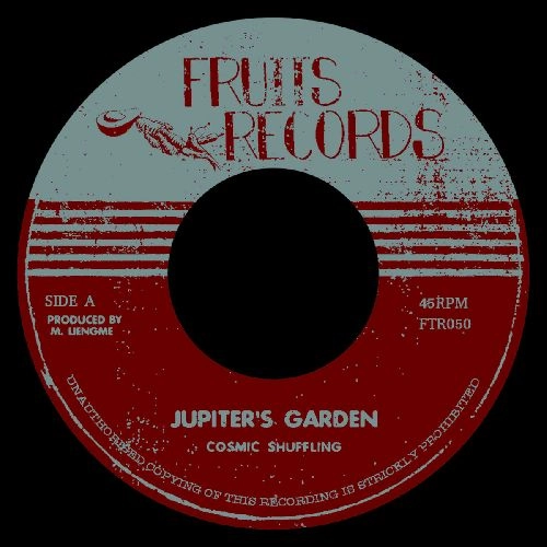 COSMIC SHUFFLING / JUPITER'S GARDEN