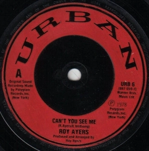 ROY AYERS / ロイ・エアーズ / CAN'T YOU SEE ME