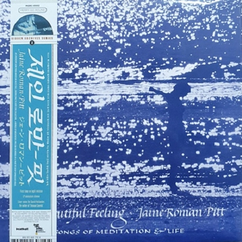 JAINE ROMAN-PITT / THIS BEAUTIFUL FEELING