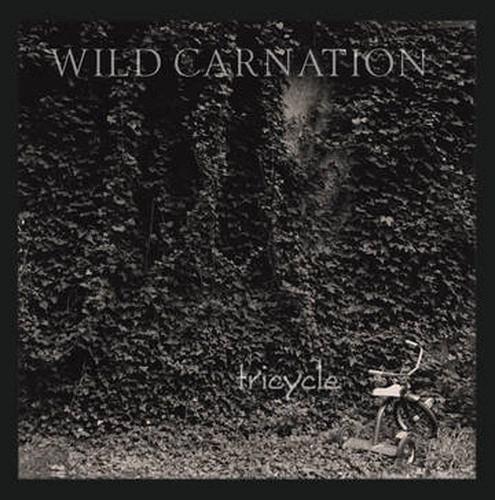 WILD CARNATION / ワイルド・カーネーション / TRICYCLE [LP]