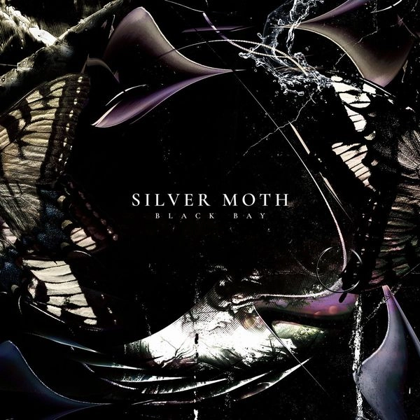 SILVER MOTH / BLACK BAY / ブラック・ベイ