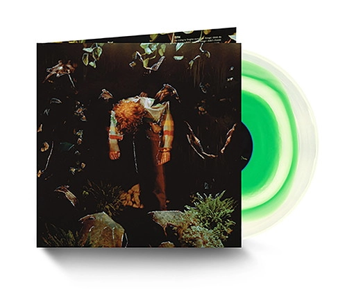 CAVETOWN / ケイヴタウン / WORMFOOD [VINYL]