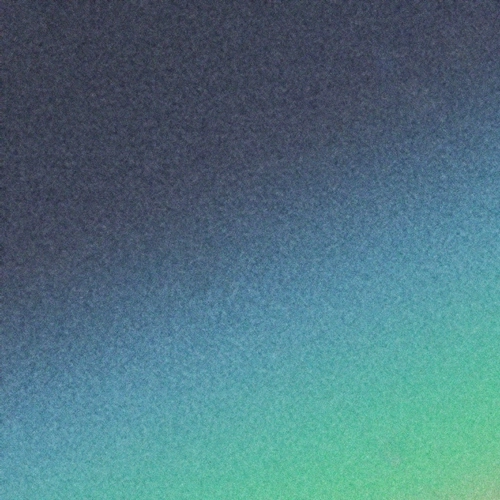JOJI / SMITHEREENS"LP"