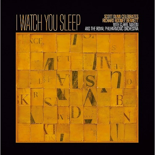 CLAIRE MARTIN / クレア・マーティン / I WATCH YOU SLEEP (LP)