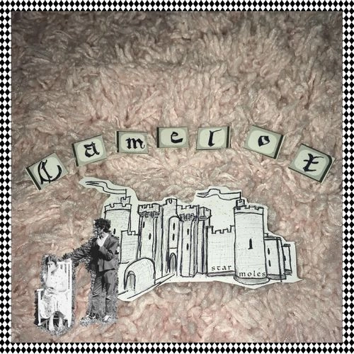 STAR MOLES / CAMELOT (VINYL)