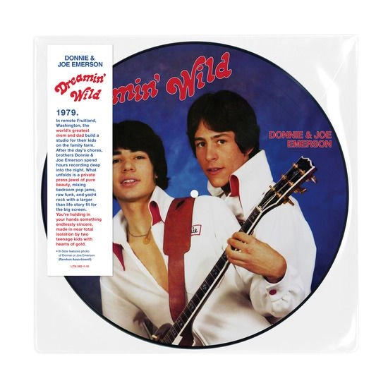 DONNIE & JOE EMERSON / ドニー&ジョー・エマーソン / DREAMIN' WILD (PICTURE DISC)