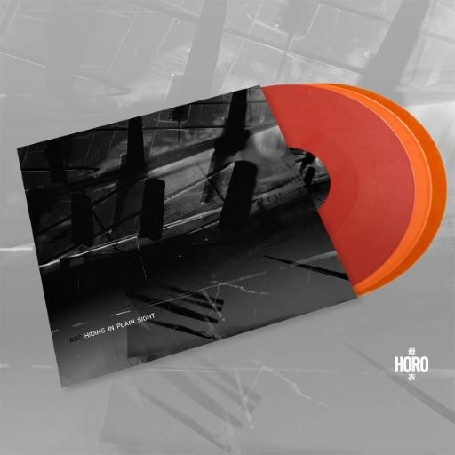 ASC / HIDING IN PLAIN SIGHT