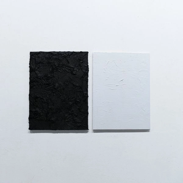 JACKSON-PRATT & SHREDDED NERVE / JACKSON-PRATT & SHREDDED NERVE