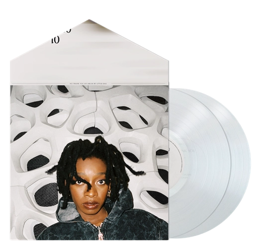 LITTLE SIMZ / リトル・シムズ / NO THANK YOU "2LP" (CLEAR VINYL)