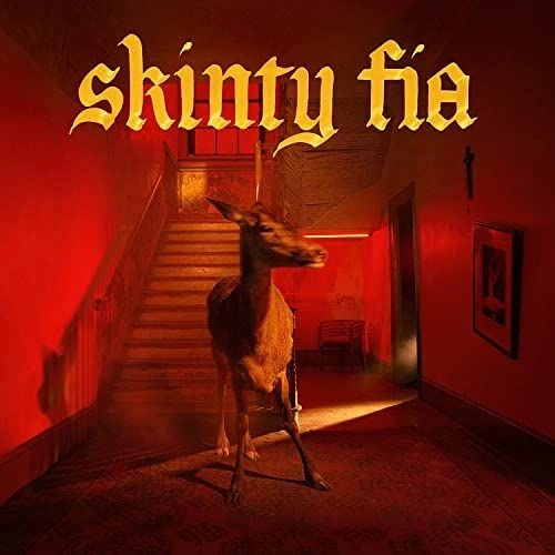 FONTAINES D.C. / フォンテインズ・D.C. / SKINTY FIA