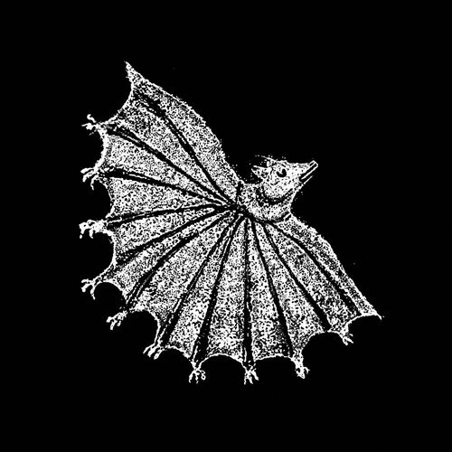 XIU XIU / シュ・シュ / IGNORE GRIEF (CD)
