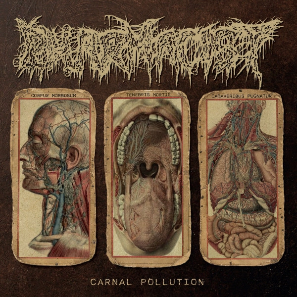 PHARMACIST  / CARNAL POLLUTION
