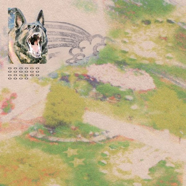 FEEBLE LITTLE HORSE / フィーブル・リトル・ホース / GIRL WITH FISH (CD)