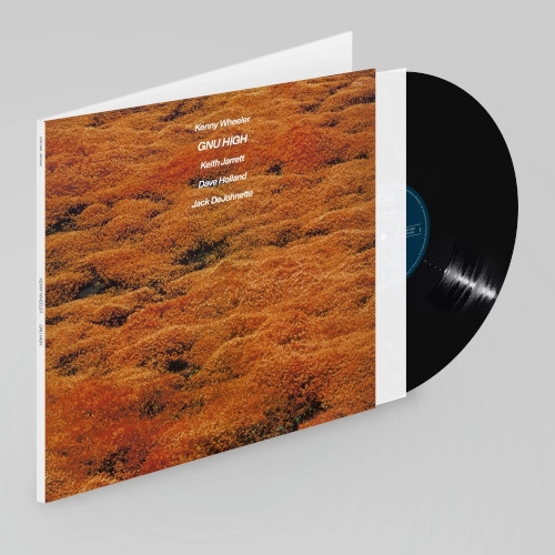 KENNY WHEELER / ケニー・ホイーラー / GNU HIGH (LP)