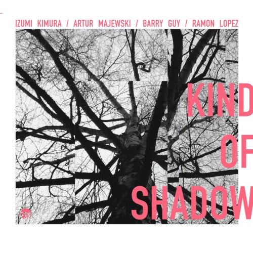 IZUMI KIMURA / 木村泉 / KIND OF SHADOW WITH ARTUR MAJEWSKI, BARRY GUY, RAMON LOPEZ