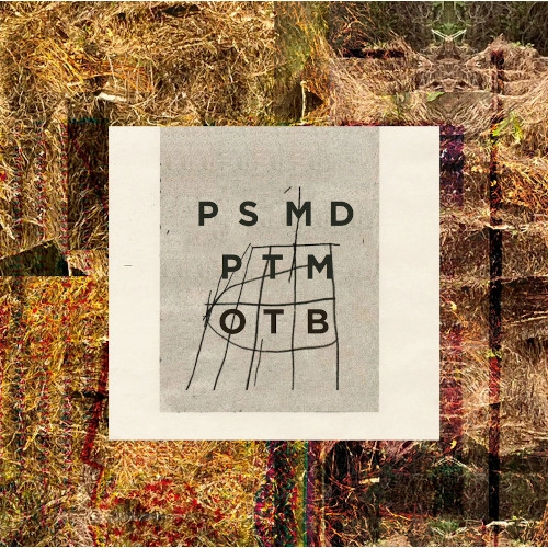 MARC DUCRET / マルク・デュクレ / PALM SWEAT: MD PLAYS THE MUSIC OF TIM BERNE (45RPM 2LP)