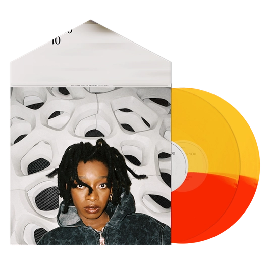 LITTLE SIMZ / リトル・シムズ / NO THANK YOU "2LP" (LIMITED COLOR VINYL) / NO THANK YOU "2LP" (帯付仕様 LIMITED COLOR VINYL)