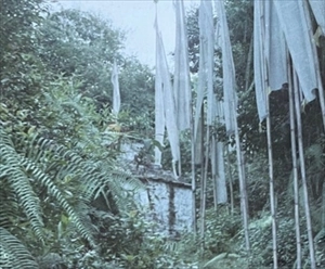 CELER / SELECTED SELF-RELEASES 2006-2007