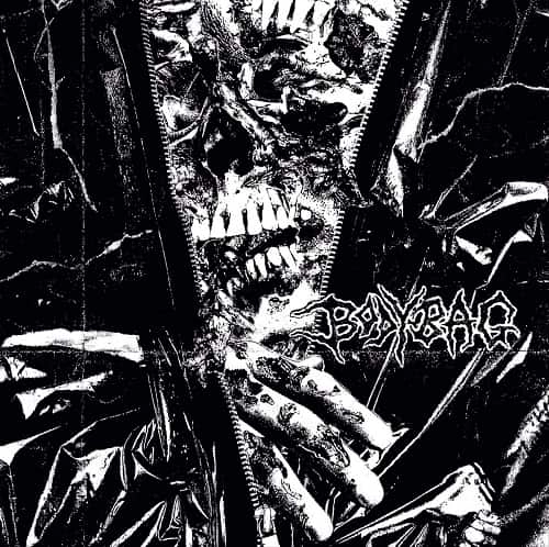 BODYBAG / DISCOGRAPHY