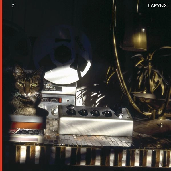 LARY 7 / LARYNX (2XLP - BLACK)