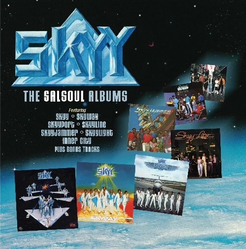 SKYY / スカイ / SALSOUL ALBUM