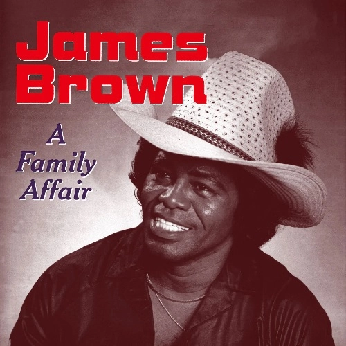 JAMES BROWN / ジェームス・ブラウン / ア・ファミリー・アフェアー