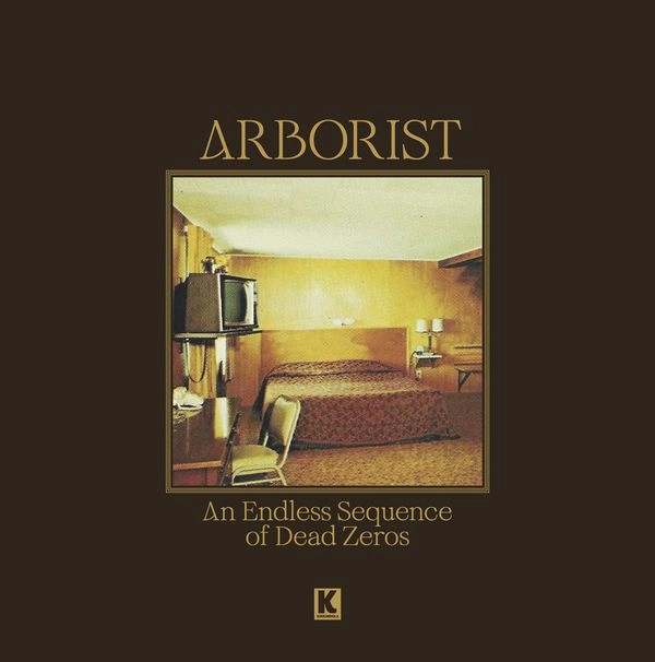 ARBORIST / アーボリスト / AN ENDLESS SEQUENCE OF DEAD ZEROS (VINYL)