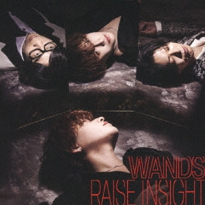 WANDS / RAISE INSIGHT(通常盤)