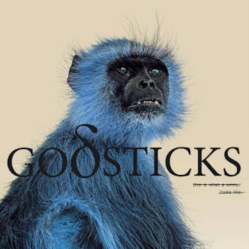 GODSTICKS / ゴッドスティックス / THIS IS WHAT A WINNER LOOKS LIKE