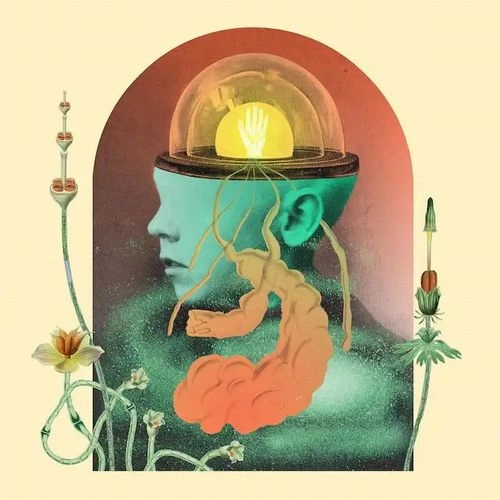 SALAMI ROSE JOE LOUIS  / サラミ・ローズ・ジョー・ルイス / AKOUSMATIKOUS（国内盤CD） / AKOUSMATIKOUS