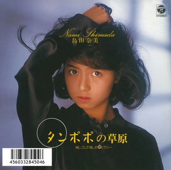 NAMI SHIMADA / 島田奈美 / タンポポの草原(LABEL ON DEMAND)