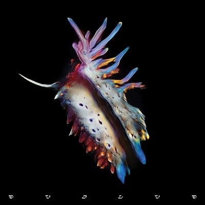 SUB FOCUS / EVOLVE (LENTICULART VINYL)