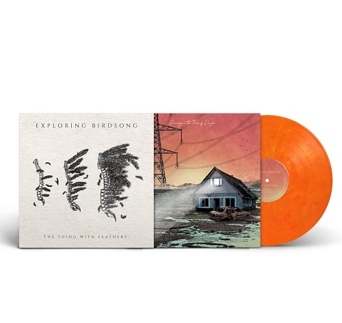 EXPLORING BIRDSONG / DANCING IN THE FACE OF DANGER / THE THING WITH FEATHERS: LIMITED VINYL