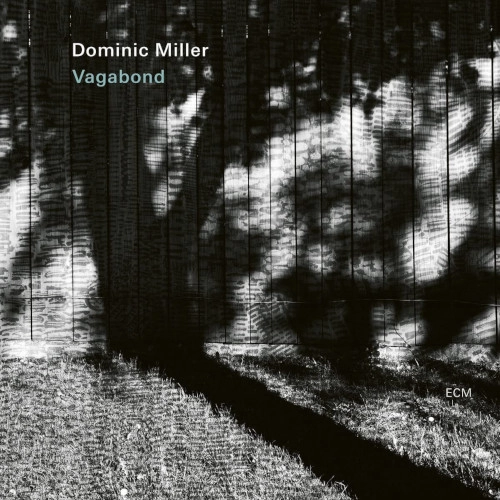 DOMINIC MILLER / ドミニク・ミラー / VAGABOND (LP)