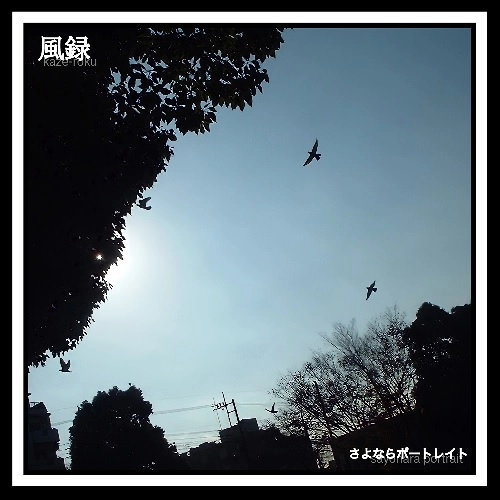 風録 / さよならポートレイト