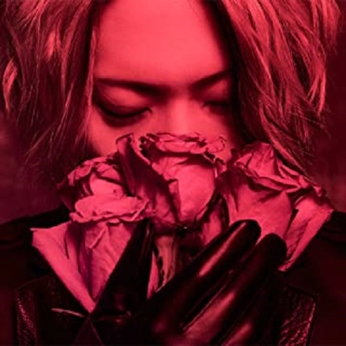 The Brow Beat / ラブレター