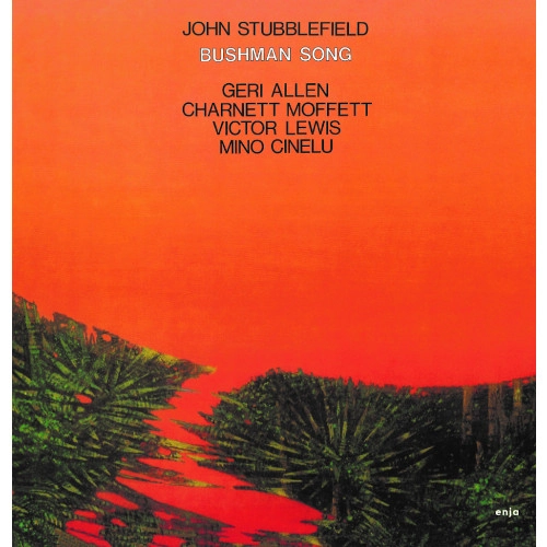 JOHN STUBBLEFIELD / ジョン・スタッブルフィールド / BUSHMAN SONG