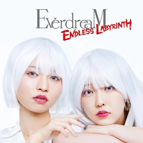 EverdreaM / ENDLESS LABYRINTH（CD+DVD）
