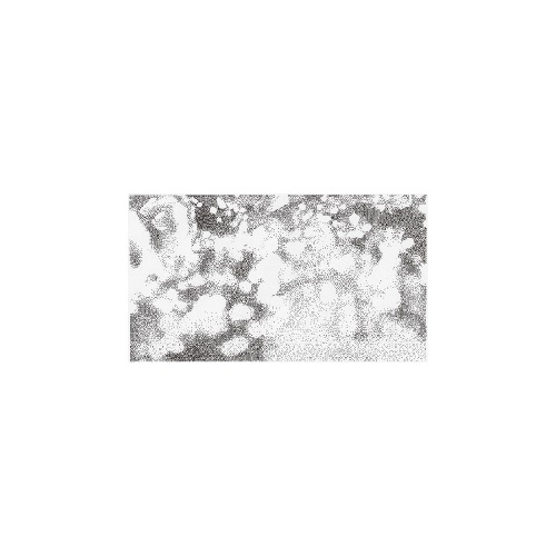 COMPUMA / コンピューマ / A VIEW MOVIES(LIVE DUB)