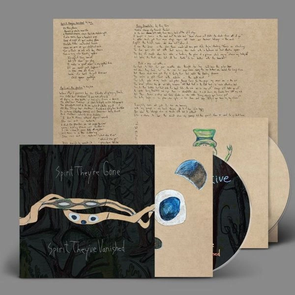 ANIMAL COLLECTIVE / アニマル・コレクティヴ / SPIRIT THEY'RE GONE, SPIRIT THEY'VE VANISHED (2CD)