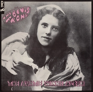BEVIS FROND / ベヴィス・フロンド / AUNTIE WINNIE ALBUM