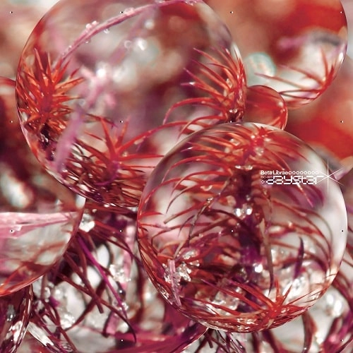 BETA LIBRAE / DAYSTAR (LP)