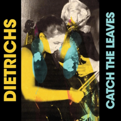 DIETRICHS / CATCH THE LEAVES