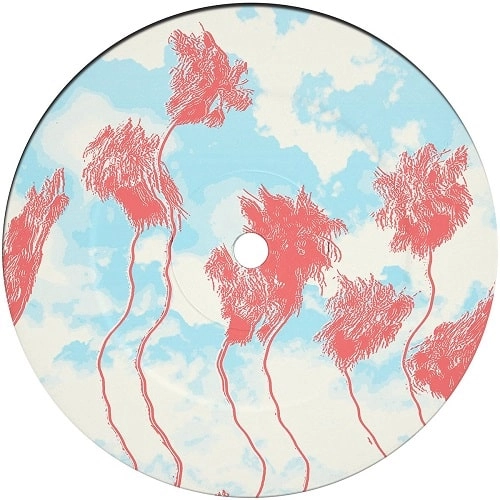 HIDDEN SPHERES / ヒドゥン・スフィアズ / WAITING [CLEAR VINYL]
