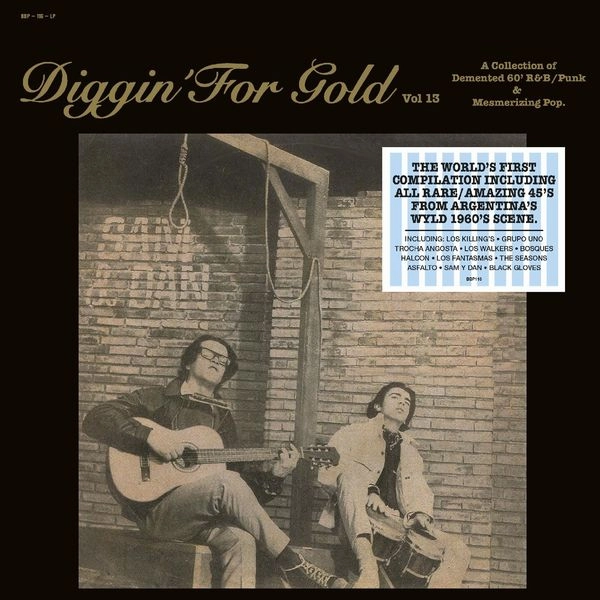V.A. (DIGGIN' FOR GOLD) / DIGGIN' FOR GOLD VOL. 13 (VINYL) / DIGGIN' FOR GOLD VOL. 13